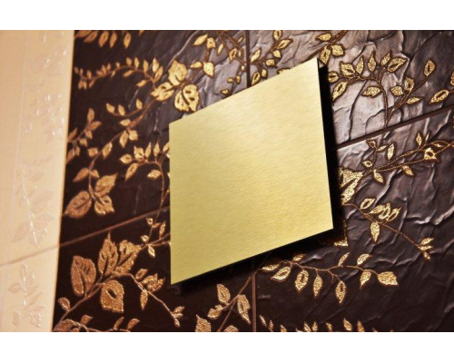 Панель AIRROXY для вытяжных вентиляторов dRim 100/125 Plexi Brushed Gold Plexi Золото